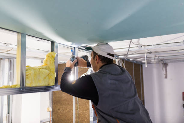 Best Insulation Maintenance and Repair in Lathrop, MO