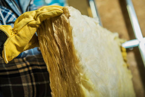 Trusted Lathrop, MO Insulation Contractor Experts