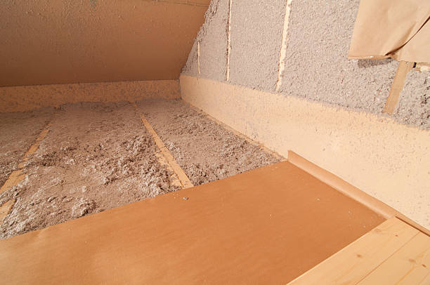 Best Cellulose Insulation in Lathrop, MO
