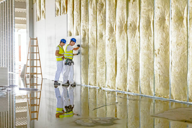 Best Commercial Insulation in Lathrop, MO